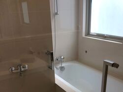 Nassim Regency (D10), Condominium #576834221
